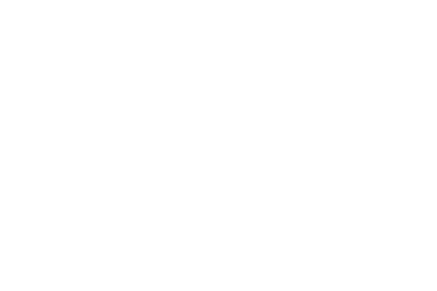 GHS — Global Horizon Shipping